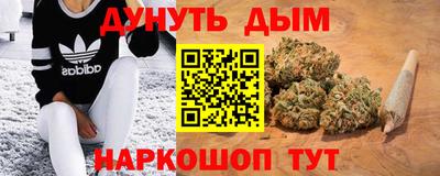 Альфа ПВП Сланцы
